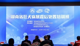 助力懷化門診規(guī)范化、優(yōu)質(zhì)化建設(shè) --湖南省狂犬病暴露后處置培訓班圓滿召開