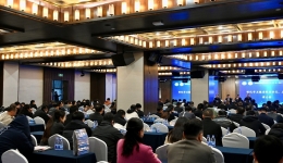 2024懷化市醫(yī)學會醫(yī)學信息學專業(yè)委員會、醫(yī)防融合專業(yè)委員會聯(lián)合學術(shù)會議舉行